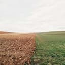 تیم محصول‌هانت